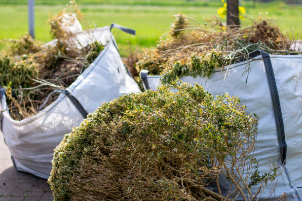 Debris Removal in New Rochelle, NY